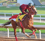 「【ネオムターフＣ】矢作調教師「一番のチャンス」連覇を狙うシンエンペラー悲願のビッグタイトルへ　今年からＧ１に昇格　」の画像1