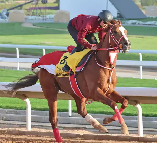 【ネオムターフＣ】矢作調教師「一番のチャンス」連覇を狙うシンエンペラー悲願のビッグタイトルへ　今年からＧ１に昇格　