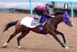 【フェブラリーＳ・１週前】昨年のダート２冠馬ナチュラルライズが鋭神　横山武史騎手「もうひとつ工夫をしてみる」