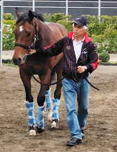 国枝栄元調教師が厩務員として初仕事　アーモンドアイ、アパパネ育てた名伯楽「今日は早起きしちゃった」