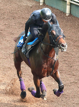 【東海Ｓ】勝てば開業２５年目で７ハロン以下の重賞初勝利　名門・友道厩舎の「異色派」ダノンフィーゴが初タイトルへ絶好機