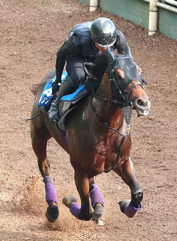 【東海Ｓ】勝てば開業２５年目で７ハロン以下の重賞初勝利　名門・友道厩舎の「異色派」ダノンフィーゴが初タイトルへ絶好機