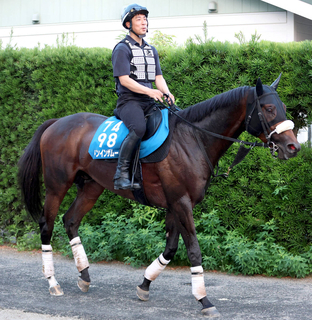 【東海Ｓ】ドンインザムードは４枠５番　昨年Ｖのヤマニンウルスと同じ馬番になった有力馬は！？　今週から中京と新潟は７Ｒがメイン