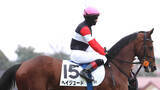 「【６日の注目・札幌３Ｒ】崖っぷちの３・２億円馬　未勝利脱出へ初ダートに挑戦」の画像1