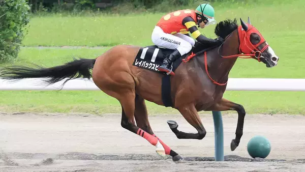 【注目馬動向・古馬】ブリーダーズＧＣ勝ちのレイバックスピンはＪＢＣレディスクラシックを視野