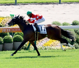 【京都５Ｒ・２歳新馬】祖母は１１年秋華賞馬のアヴェンチュラ　レッドシーカーが逃げ切りＶ　松山弘平騎手「強かった」