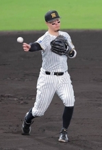 【阪神】佐藤輝明が４回に両リーグ最多２０個目の失策　大竹耕太郎のパーフェクト投球ストップ　