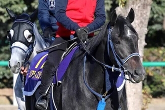 【天皇賞・秋】唯一の３歳馬リアライズシリウスが巻き返しへ虎視たんたん　手塚久調教師「中身が全然違う」
