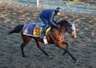 【中山金杯】一気の５連勝を狙うカネラフィーナは３枠３番　重賞初Ｖを目指すアンゴラブラックは２枠２番