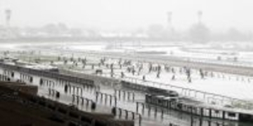 東京競馬は１０日、京都競馬は９日に開催　出馬表は変わらず　８日中止の代替競馬