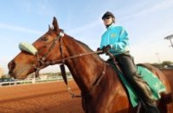 【サウジＣ】サンライズジパングは「お気楽な感じです」　最終調整の落ち着いた様子に前川調教師は笑顔