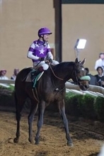 【サウジＣ】「後悔が残ります」サンライズジパングは６着　前川調教師は海外重賞初挑戦初制覇ならず