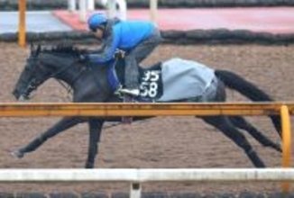 日曜東京競馬場の注目激走馬…東京１１Ｒ共同通信杯・Ｇ３