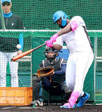 「【日本ハム】レイエス、球団初の大台へ「50本打つ」…驚がく初フリー、場外４発含む12発」の画像1