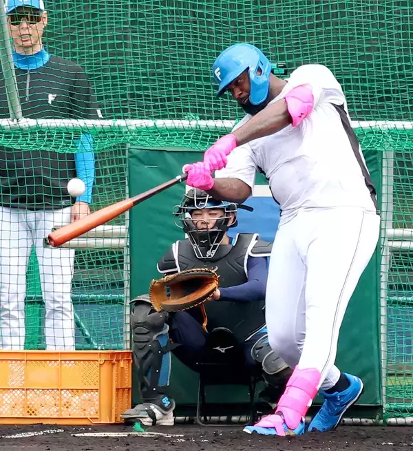 【日本ハム】レイエス、球団初の大台へ「50本打つ」…驚がく初フリー、場外４発含む12発