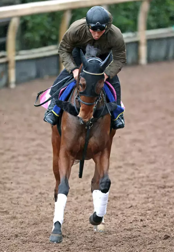 【報知杯ＦＲ】相手なりに堅実なプリンセスモコが桜の権利取りへ　藤原調教師「いいレースをして桜花賞に向かえたら」