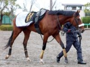 【注目馬動向】報知杯弥生賞４着のタイダルロックは青葉賞へ　サンデーサラブレッドクラブが発表