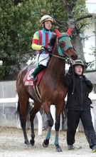 【兵庫女王盃】ハナを切った３番人気のオーケーバーディーは鼻出血発症で競走中止に