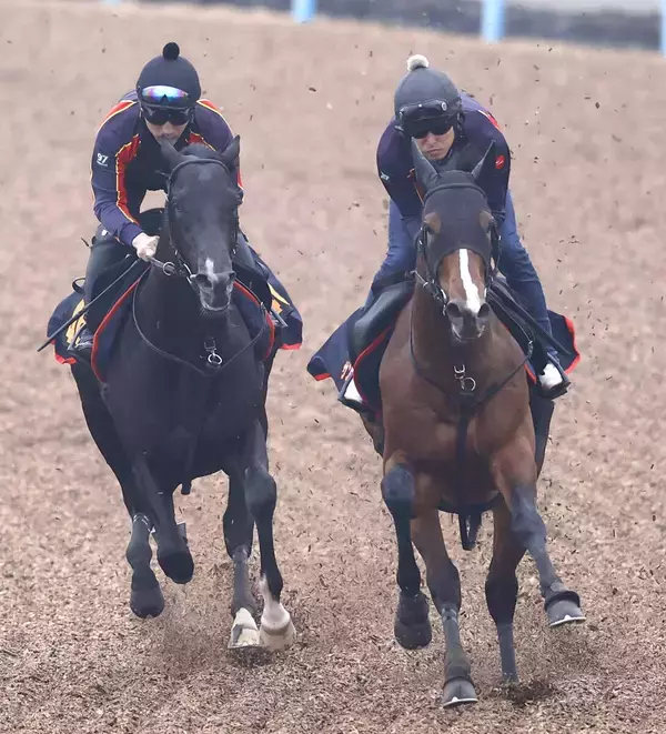【注目馬動向】チャーチルダウンズＣで１番人気１２着のサンダーストラック　ＮＨＫマイルＣを視野
