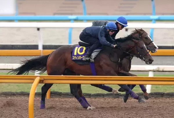 【天皇賞・春・１週前】連覇狙うレーン騎手がスティンガーグラスと初コンタクト「強みはスタミナですね」