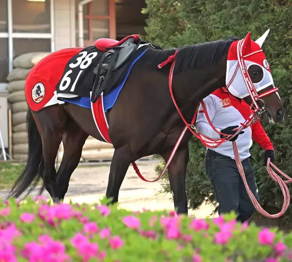 【青葉賞】ＧＬＡＹのＴＥＲＵが名付け親　テルヒコウは１４着　３度目の重賞挑戦も坂井瑠星騎手「今日のメンバーでは…」