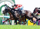 「【京都９Ｒ・あずさ賞】コントレイル産駒レッドラージャがＶ　坂井瑠星騎手「緩さが残る中で勝ち切れて、能力の高さを感じた」」の画像1