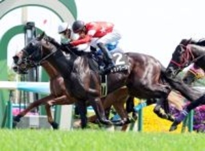 【京都９Ｒ・あずさ賞】コントレイル産駒レッドラージャがＶ　坂井瑠星騎手「緩さが残る中で勝ち切れて、能力の高さを感じた」