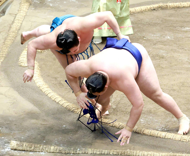 琴栄峰が２敗を守る　欧勝馬に勝ち首位堅持