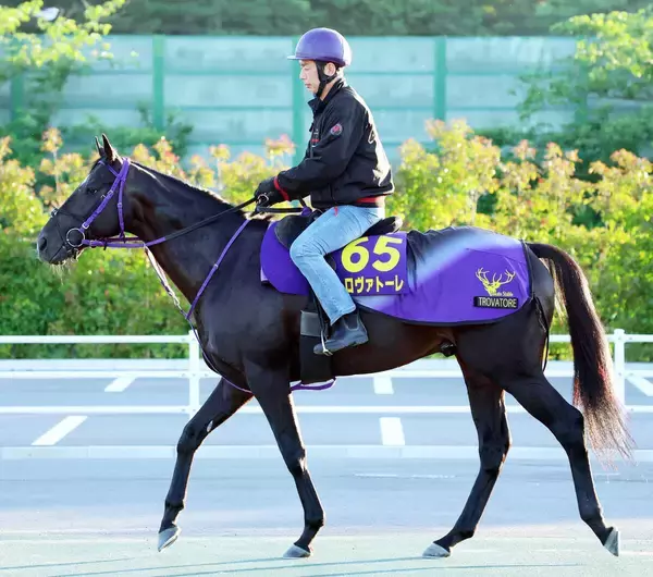 【Ｇ１・１週前まとめ】重賞連勝中のトロヴァトーレ、直線でしっかりと負荷をかけられ活気十分　鹿戸調教師も充実ぶりを実感　安田記念