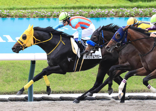 【福島３Ｒ・３歳未勝利】ブービー人気、単勝２５０・９倍オリジナルアポジーが逃走Ｖ　武藤雅騎手「最後までしぶとく」
