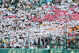 「【甲子園】熊本・有明が初出場で８強入り　「このまま有明旋風おこしちゃえー！」「感動しました」ネット上で歓喜の声」の画像1