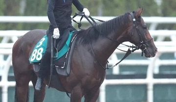 【京都５Ｒ・２歳新馬】４・１億円馬は無念の３着…ジーティーギャング好位追走から伸びあぐねる
