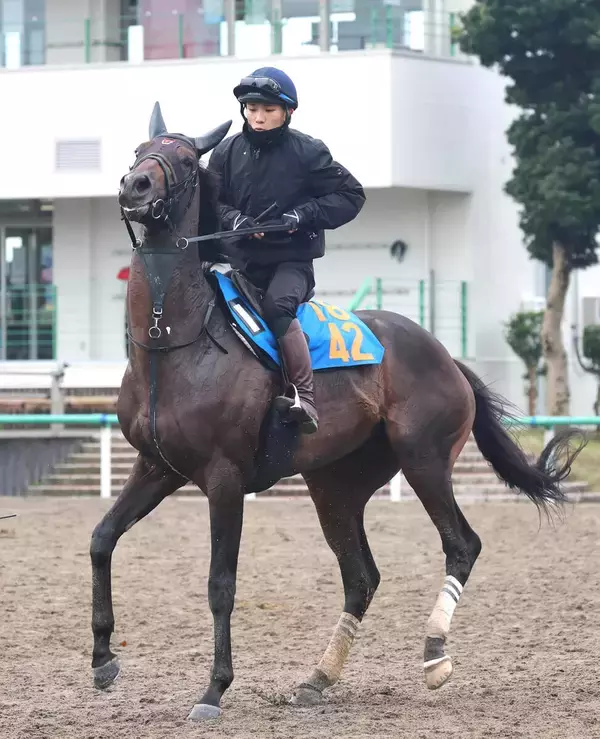 【毎日王冠】「ゲートでパニック」佐々木大輔騎手は課題を指摘　３歳馬ライヒスアドラーは５着どまり