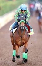 【クイーンＣ】阪神ＪＦ２着のギャラボーグが世代上位の力を見せる　杉山晴調教師「左回りも大丈夫でしょう」