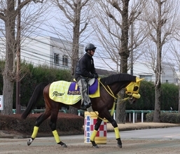 【フェブラリーステークス】馬トク外厩情報…「間隔を空けた時」に走るタイプ　中１０週で反撃態勢