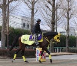 【フェブラリーステークス】馬トク外厩情報…「間隔を空けた時」に走るタイプ　中１０週で反撃態勢