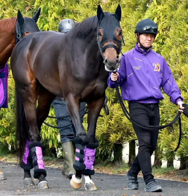 【大阪杯】３枠５番のショウヘイは雨の影響残りそうな馬場にも前向き　友道調教師「極端な時計勝負になるよりは…」