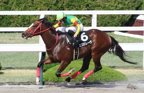 「【阪神９Ｒ・バイオレットＳ】エコロレーヴが鮮やか逃げ切り　今後は世代スプリント王決める北海道スプリントＣが大目標」の画像