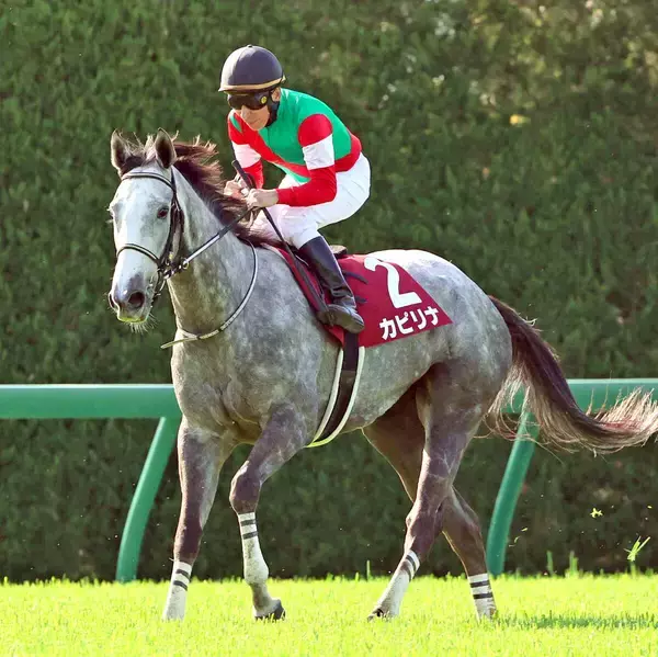 【注目馬動向】阪神牝馬Ｓ９着のカピリナ　当初の予定通りヴィクトリアマイルへ