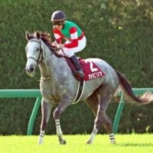 【注目馬動向】阪神牝馬Ｓ９着のカピリナ　当初の予定通りヴィクトリアマイルへ