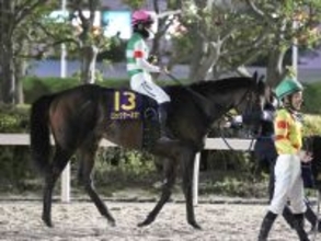 【羽田盃】１番人気ロックターミガンは直線で競り負け２着　西村淳也騎手「ちょっと厳しい競馬に…」ダート転向後初の敗戦