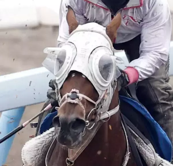 【京王杯ＳＣ】１番人気ファンダムは直線で力尽き８着　ルメール騎手も首をかしげ「敗因はわからないです」