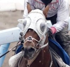 【京王杯ＳＣ】１番人気ファンダムは直線で力尽き８着　無傷３連勝で毎日杯を制した素質馬の復活はお預け