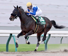 【平安Ｓ】ロードクロンヌが悠々と３馬身半差で重賞２勝目　「このクラスだと力上位」横山和生騎手も手応え十分