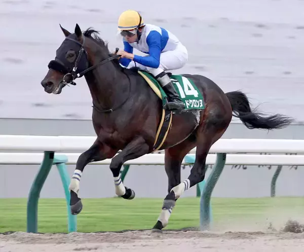 【平安Ｓ】ロードクロンヌが悠々と３馬身半差で重賞２勝目　「このクラスだと力上位」横山和生騎手も手応え十分