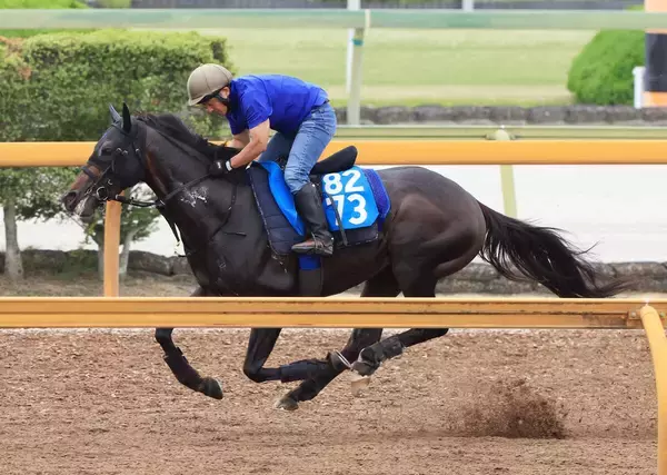 【目黒記念】武豊騎手との重賞挑戦へ順調！良血馬アマキヒは雄大なフットワーク　橋田調教師「心肺機能の良さが強み」