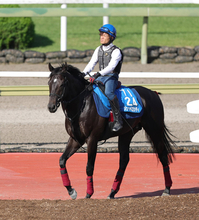 【東京ジャンプＳ】単勝１・２倍ジューンベロシティはまさかの２着　高田潤騎手「レコード決着になると斤量も響いて...」