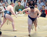 「横綱・大の里が痛恨の４敗目　過去４戦全勝だった安青錦に初めて敗れる　」の画像1
