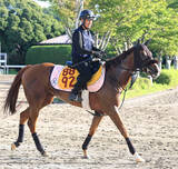 「【朱鷺Ｓ・金曜気配】充実のシーズンを送るセフィロは今後へ大事な一戦　菊沢調教師「秋へ向けて賞金を加算したい」」の画像1