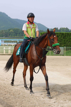 【４日の注目・京都２Ｒ】初勝利をツモりたい「麻雀の神」藤田晋オーナーの２・９億円馬が登場　２４年皐月賞馬の半弟